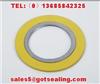 spiral wound gasket